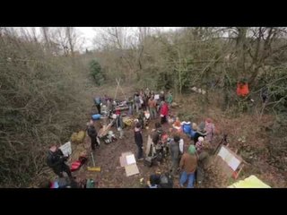 Protesters take to the trees to prevent Metrobus plans going ahead