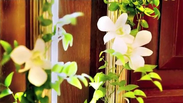 Лечение маслом черного тмина. Универсальное средство в вашей аптечке.