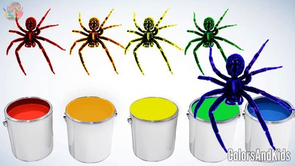 LEARN COLOR w Spiderman for kids and Superheroes cartoon for babies