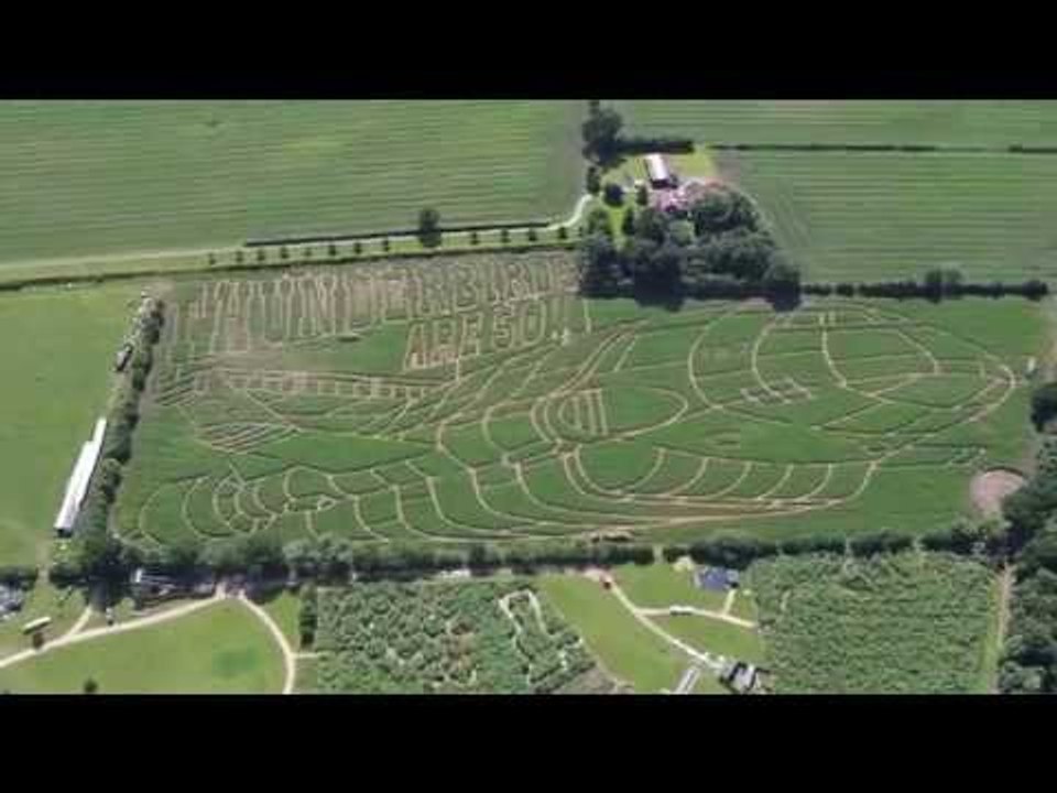 An Iconic Maze Has Been Transformed Into The World’s Largest THUNDERBIRD.