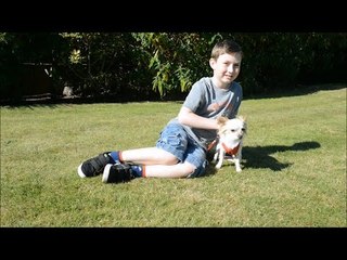 Disabled boy and lame dog help each other learn how to walk
