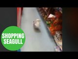 Frustrated newsagent chases peanut-thieving seagull out of his store