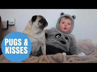 Adorable baby cuddling pugs becomes Insta-famous