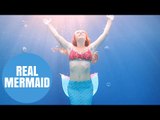 Massive Disney fan lands dream job of being a Mermaid