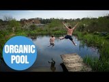 Man's DIY Natural Swimming Pool Makes Waves Across The Globe