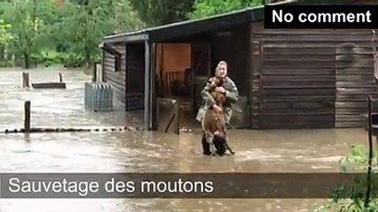 Inondations historiques a Blegny-Saive
