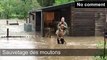 Inondations historiques a Blegny-Saive.... - Circuits Sainte-Julienne Meuse-Vesdre