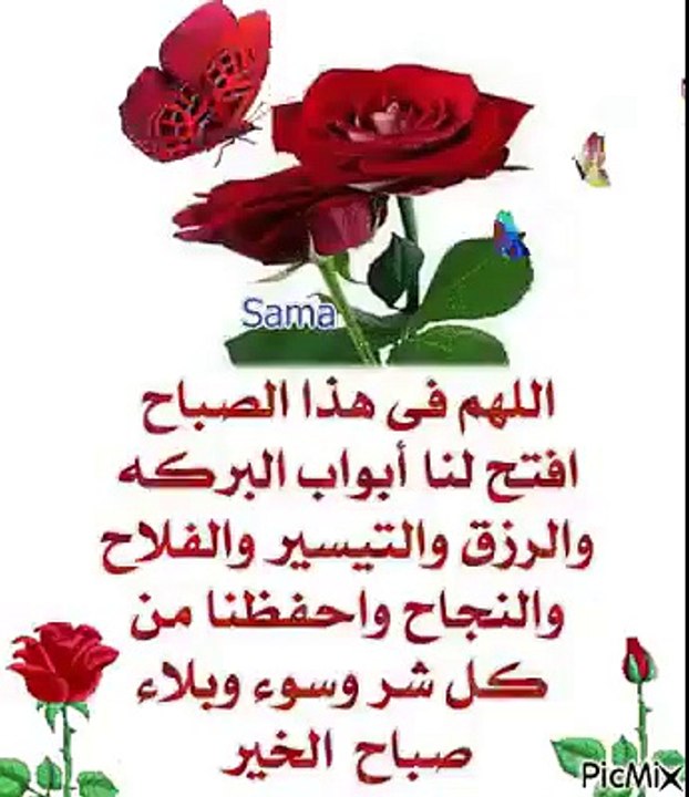 صباح الخير#نودى