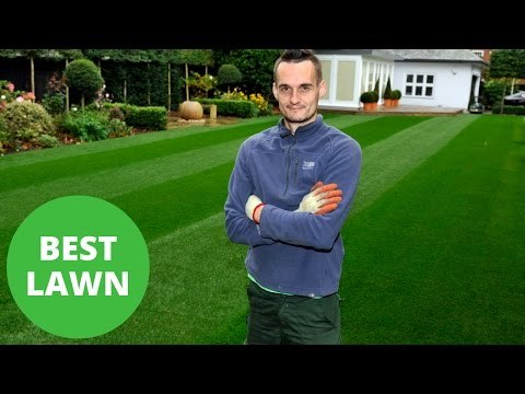Accountant's Lawn Named Best In Britain Despite Him Not Getting His Fingers Dirty
