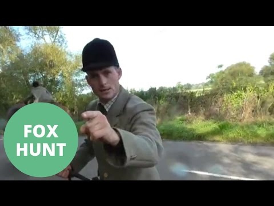 A member of a fox hunt was caught on camera appearing to attack a demonstrator