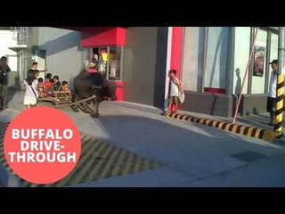 Father takes his ten kids to fast food drive through riding a buffalo