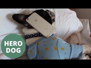 Couple's dog saved their wedding day when best man forgot their wedding rings.