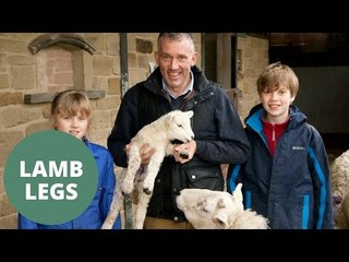 Lamb born with FIVE legs.