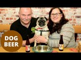 Pub becomes one of the first in North Staffordshire to offer a beer suitable for dogs