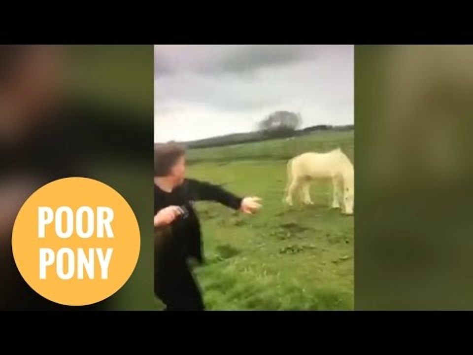 Shocking video of a yob throwing a stone at a PONY