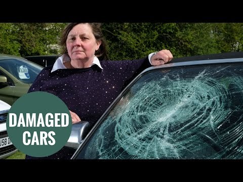 Cars destroyed after yob rampage at dealership