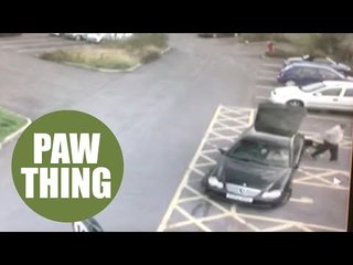 Mercedes driver caught on CCTV dumping dog in car park