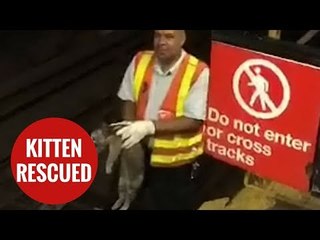Rail worker rescues adventurous kitten