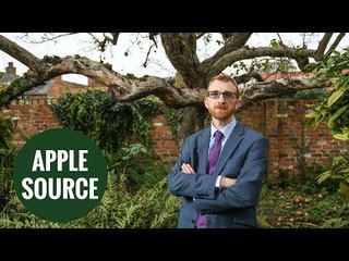 Britain's original Bramley apple tree could be saved by university