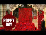 Exeter Cathedral covered in 34,000 poppies in Remembrance Day tribute