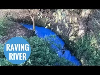 Mysterious colour-changing neon liquid spotted in stream