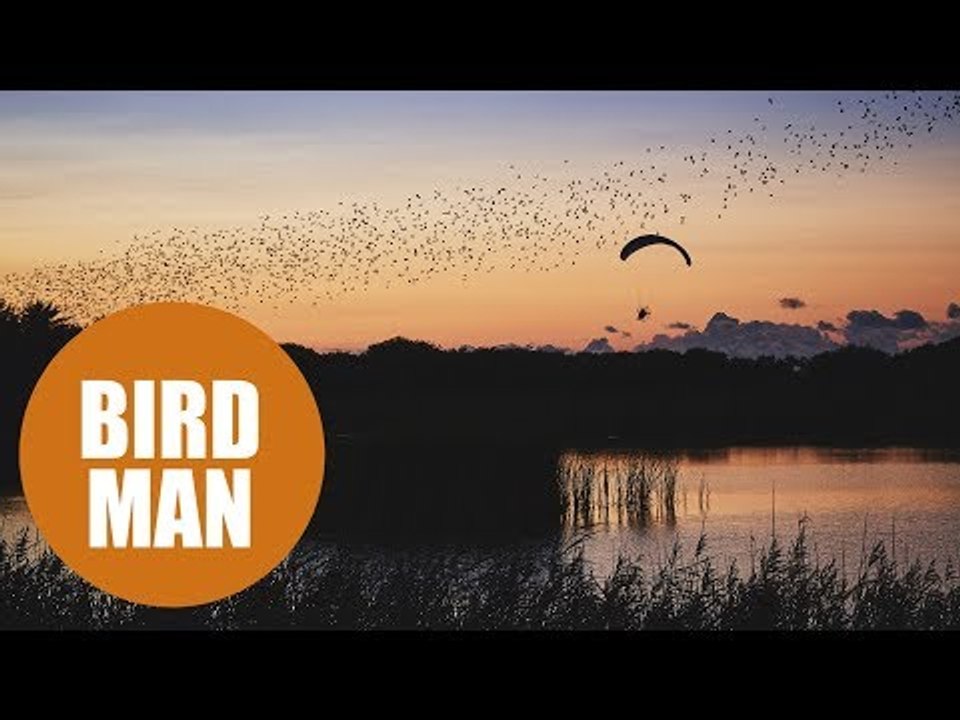 Paragliding world champion lives out dream to fly among birds