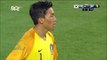 1-2 Edin Višća Goal International  Friendly - 01.06.2018 South Korea 1-2 Bosnia-Herzegovina