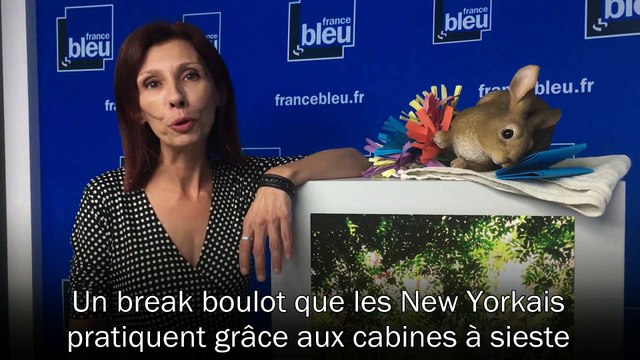 J'y crois pas ! New York pousse les salariés à faire la sieste