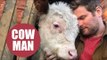 Man drives his pet cow more than 2200 miles across the US for sight saving surgery