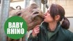 Animal keepers hand rearing a baby rhino
