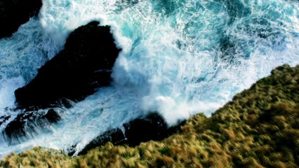 Discovery - Deadliest Catch S14