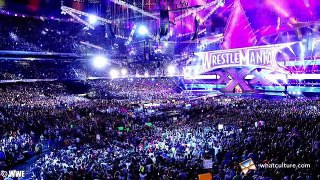 10 WrestleMania Fs You Didnt Know