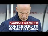 5 Contenders For New Swansea Manager