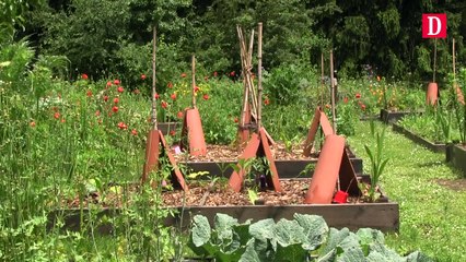 Visite confidentielle des jardins de la préfecture de Foix
