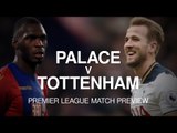 Crystal Palace v Tottenham - Premier League Match Preview