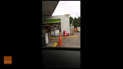 Un homme lave son cheval dans une station de lavage auto !