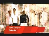 Tarik Menguc - Sak Suka