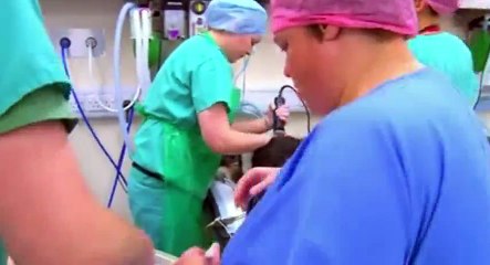 Young Vets S01  E03 Episode 3 - Part 03