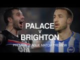Crystal Palace v Brighton - Premier League Match Preview