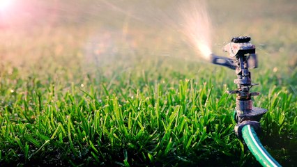 Investigation Discovery - Diabolical Deadly Lovers S1