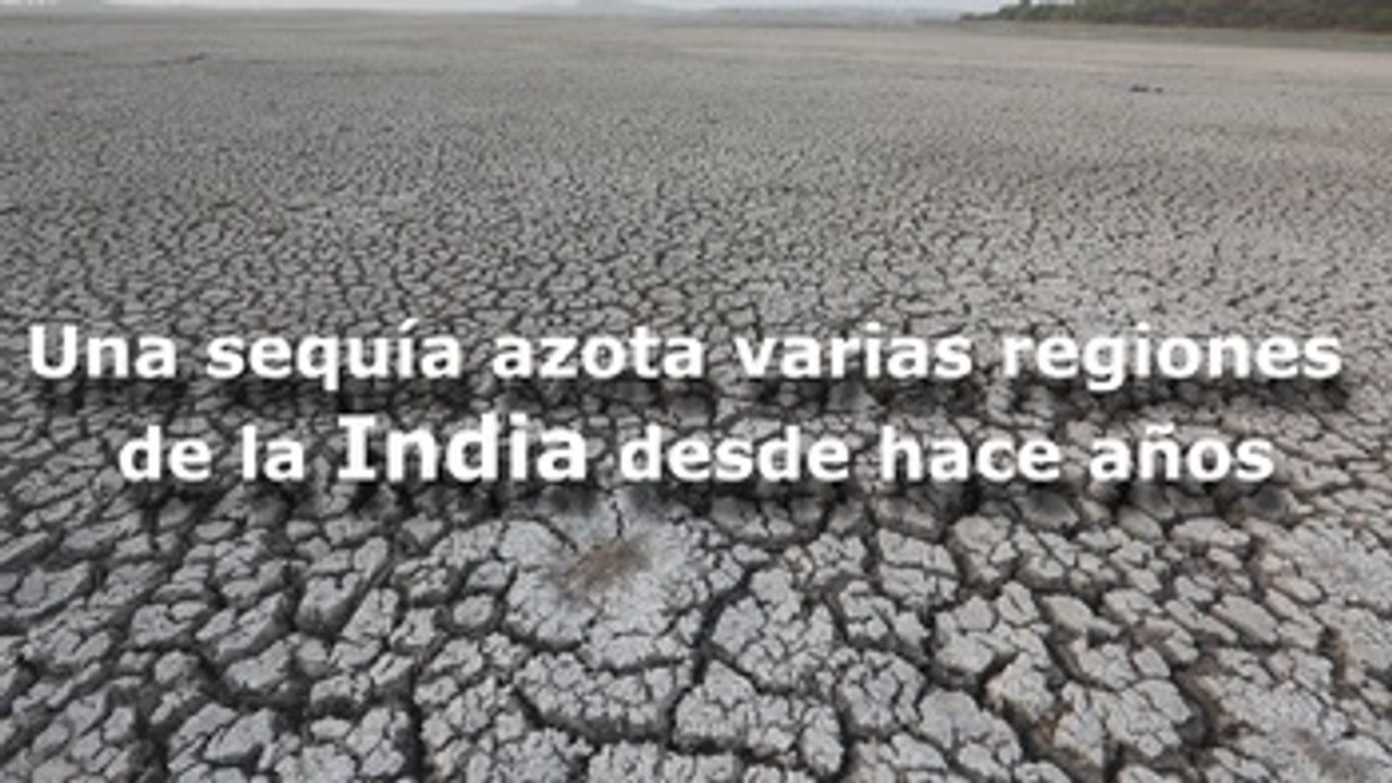 La sequía azota varias regiones de la India desde hace años