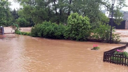 Video captures Germany flash floods that allowed zoo animals to escape