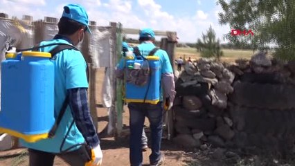 Şanlıurfa Siverek'te İlaçlama Çalışması