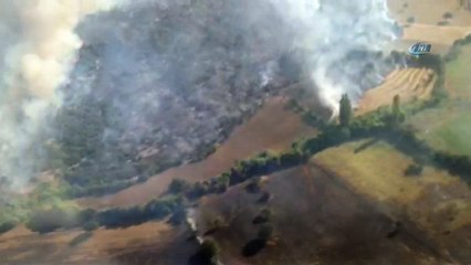 Çanakkale'de orman yangını