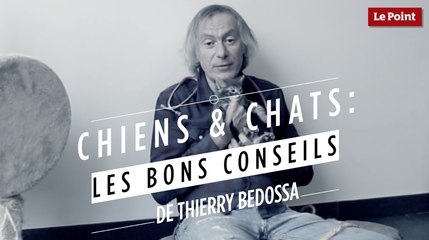 Thierry Bedossa : comment soigner la dépression de son chat ?