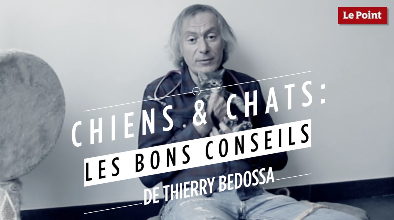 Thierry Bedossa : comment soigner la dépression de son chat ?