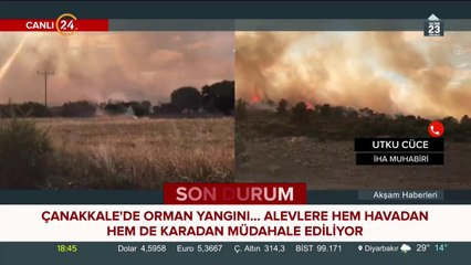 Çanakkale'de orman yangını