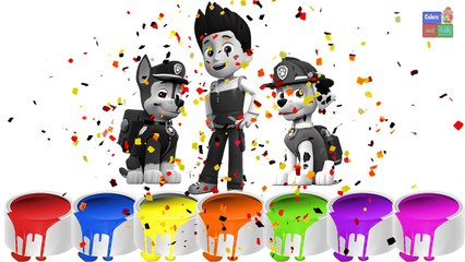 Learn Color With Baby Learn Colors Paw Patro with Paint Roller Best Learning Colors