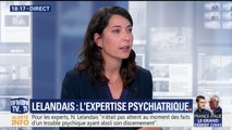 Nordahl Lelandais: ce que révèle son expertise psychiatrique