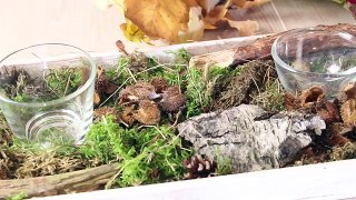 DIY HERBSTDEKORATION I KOSTET FAST NICHTS, EINFACH, SCHNELL